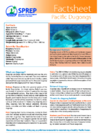Pacific_Dugongs