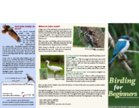 brochure-birding-basics