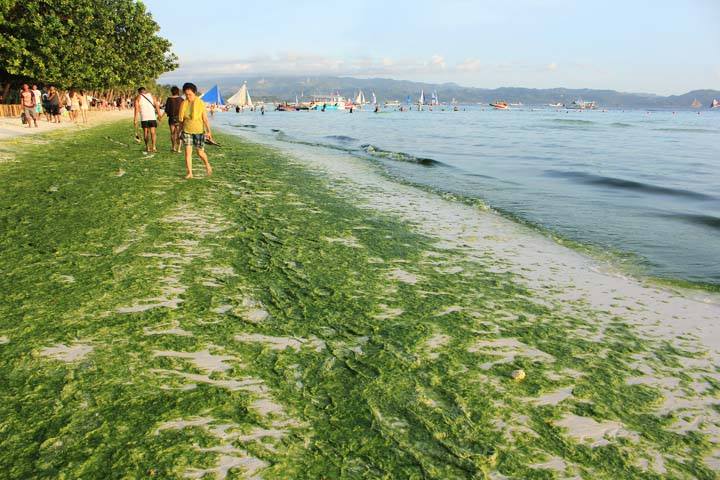 DENR: Number of tourists in Boracay has reached 'alarming levels'