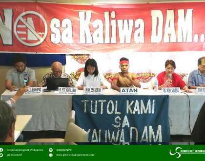 Coalition rejects China-funded Kaliwa Dam project