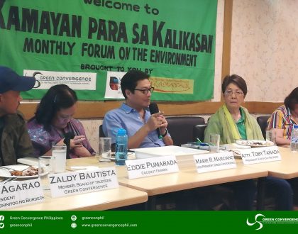 Environmental group echo farmers’ call: ‘Protect PH coconut industry!’